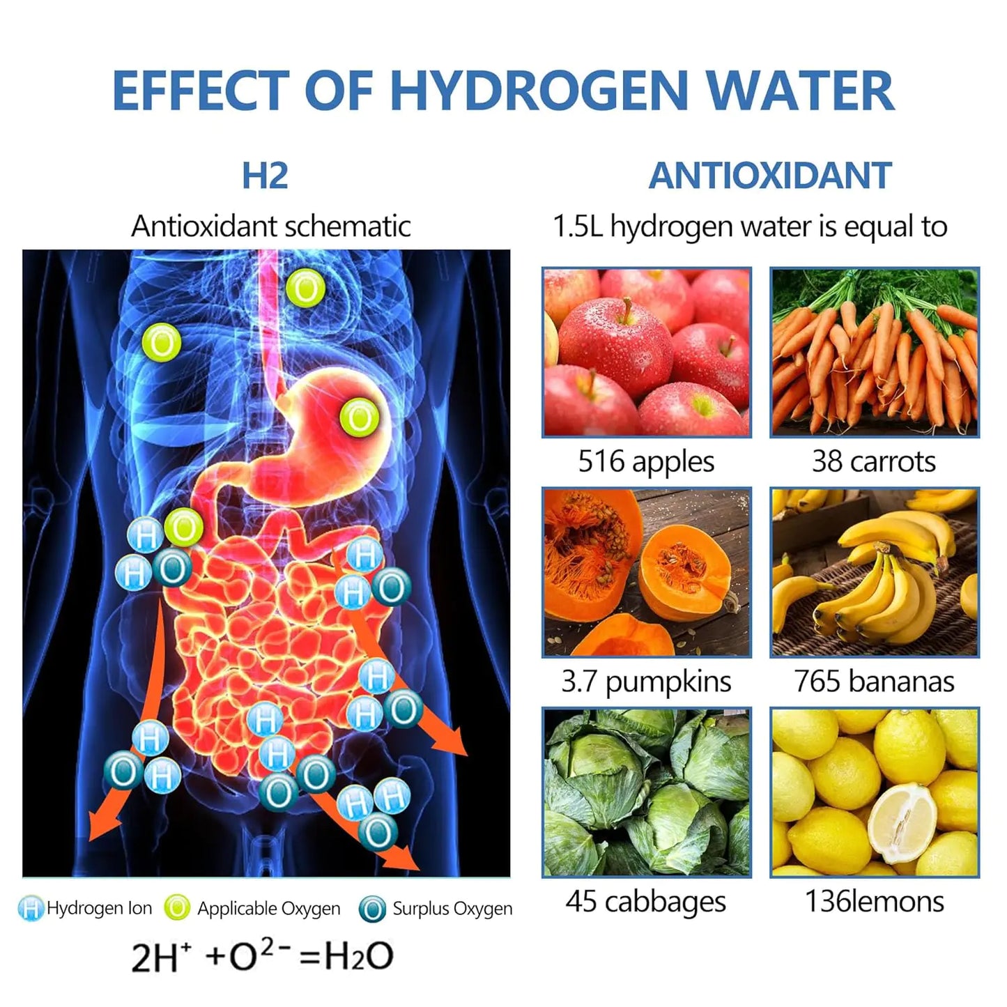 Tranqul Hydrogen Water Bottle