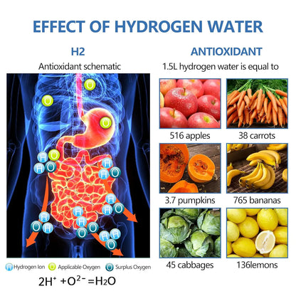 Tranqul Hydrogen Water Bottle